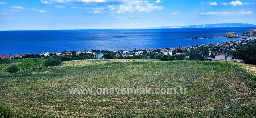 Süleymanpaşa Kumbağ Barbaros Mah. Satılık Arazi - Konut İmar Durumlu - 6.100 m²