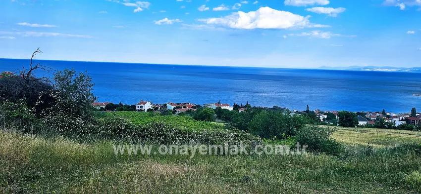 Süleymanpaşa Kumbağ Barbaros Mah. Satılık Arazi - Konut İmar Durumlu - 6.100 m²