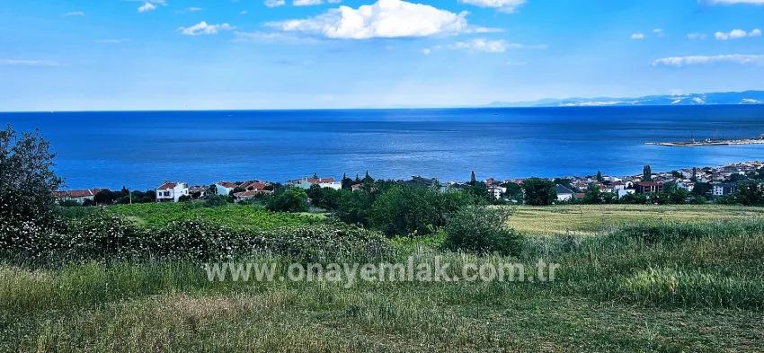 Süleymanpaşa Kumbağ Barbaros Mah. Satılık Arazi - Konut İmar Durumlu - 6.100 m²