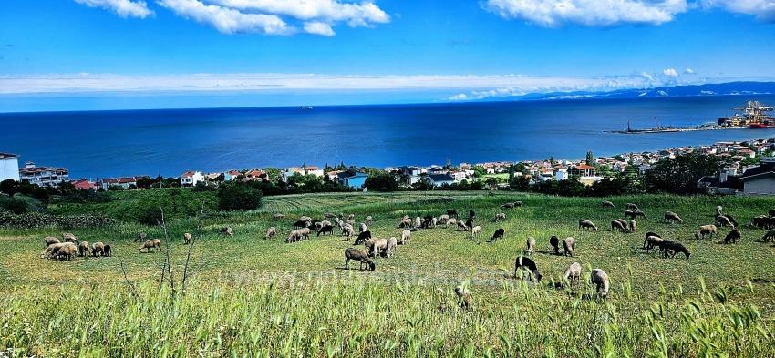 Eşsiz Full Deniz Ve Doğa Manzaralı 15 Adet Lüxs Villa Projeye Uygun Yer