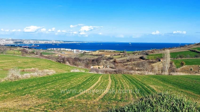 Tekirdağ Barbarosta Full Deniz Ve Doğa Manzaralı 8 Adet Villa Projesine Uygun Arazi