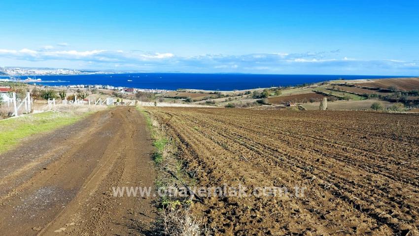 Süleymanpaşa Kumbağ Barbaros Mah. Satılık Arazi - Villa İmar Durumlu - 6.350 m²