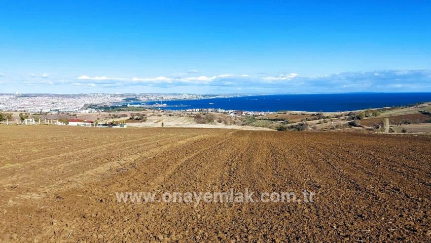 Süleymanpaşa Kumbağ Barbaros Mah. Satılık Arazi - Villa İmar Durumlu - 6.350 m²