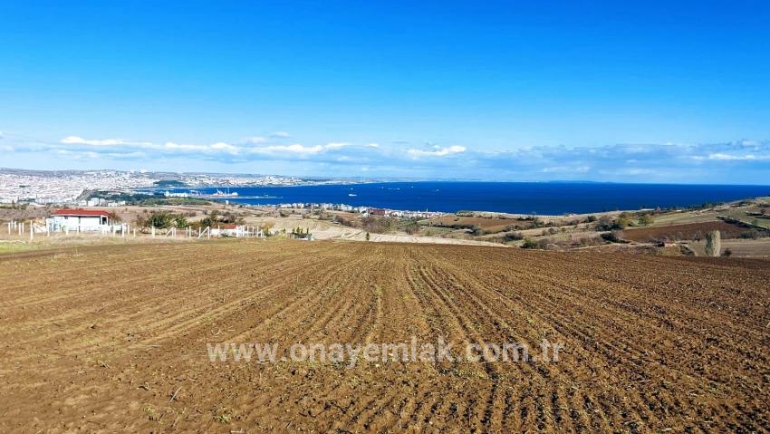 Süleymanpaşa Kumbağ Barbaros Mah. Satılık Arazi - Villa İmar Durumlu - 6.350 m²