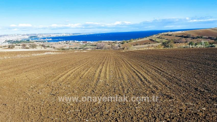 Süleymanpaşa Kumbağ Barbaros Mah. Satılık Arazi - Villa İmar Durumlu - 6.350 m²