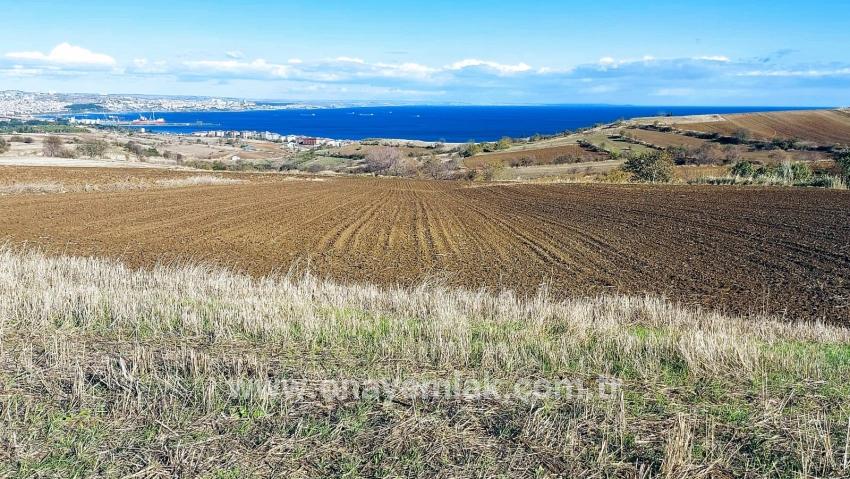 Süleymanpaşa Kumbağ Barbaros Mah. Satılık Arazi - Villa İmar Durumlu - 6.350 m²