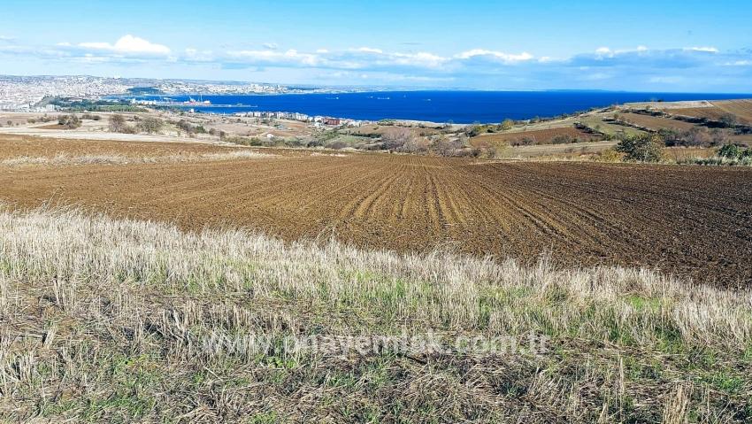 Süleymanpaşa Kumbağ Barbaros Mah. Satılık Arazi - Villa İmar Durumlu - 6.350 m²