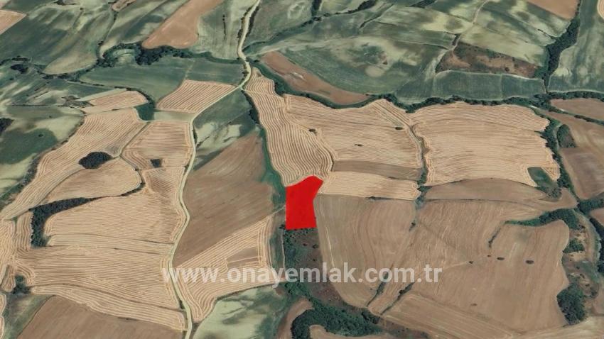 Süleymanpaşa Oruçbeyli Mah. Satılık Tarla - Tarla İmar Durumlu - 8.100 m²