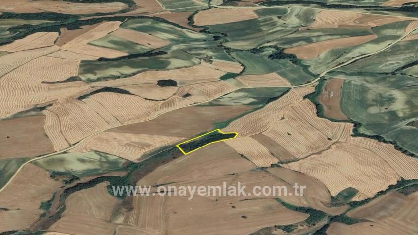 Süleymanpaşa Oruçbeyli Mah. Satılık Tarla - Tarla İmar Durumlu - 8.100 m²