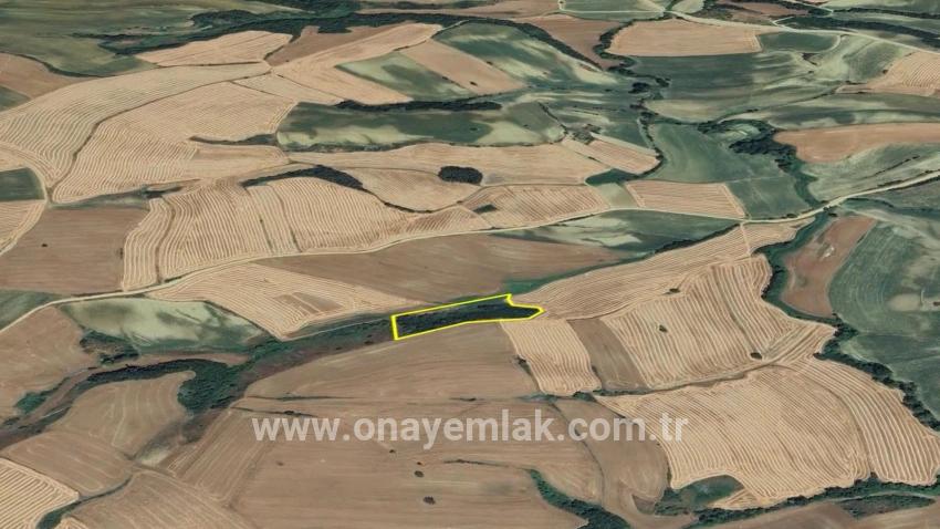 Süleymanpaşa Oruçbeyli Mah. Satılık Tarla - Tarla İmar Durumlu - 8.100 m²