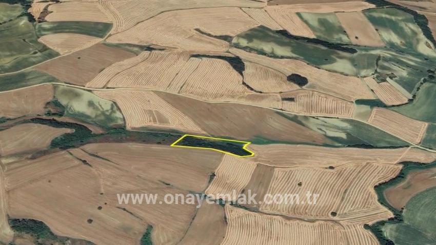 Süleymanpaşa Oruçbeyli Mah. Satılık Tarla - Tarla İmar Durumlu - 8.100 m²