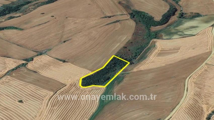 Süleymanpaşa Oruçbeyli Mah. Satılık Tarla - Tarla İmar Durumlu - 8.100 m²