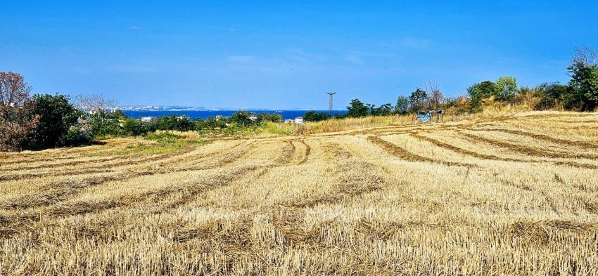 Asyaport Limanına Yakın 615 M2 Kelepir Köşe Arsa