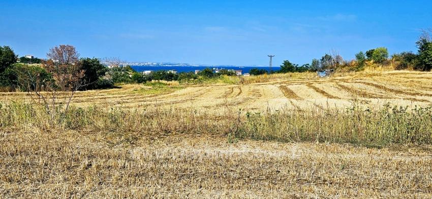 Asyaport Limanına Yakın 615 M2 Kelepir Köşe Arsa