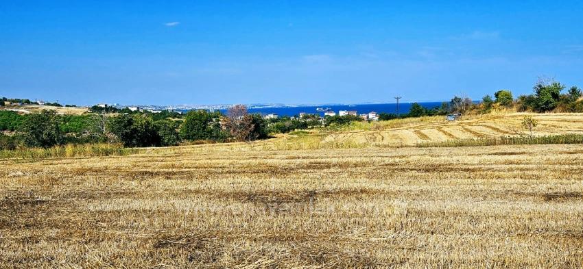 Asyaport Limanına Yakın 615 M2 Kelepir Köşe Arsa