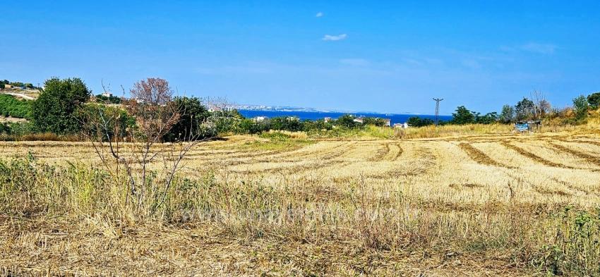 Asyaport Limanına Yakın 615 M2 Kelepir Köşe Arsa