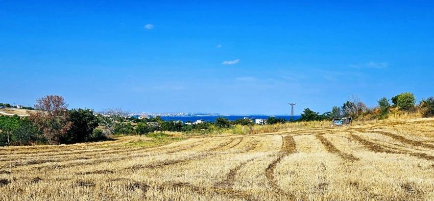 Asyaport Limanına Yakın 615 M2 Kelepir Köşe Arsa