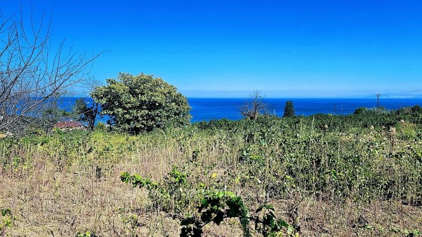 Tekirdağ Barbarosta 4 Taraf Yol Cephe Altyapı Hazır Kooparetif Ve Site Yapımına Uygun Yer