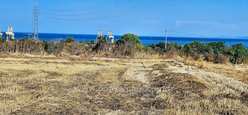 Asyaport Limanına Yakın 8.500 M2 Konut İmarlı Yüksek Kazanç Vaadi Arazi