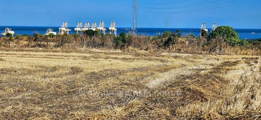 Asyaport Limanına Yakın 8.500 M2 Konut İmarlı Yüksek Kazanç Vaadi Arazi