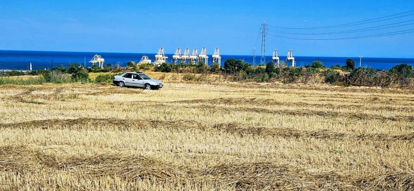 Asyaport Limanına Yakın 8.500 M2 Konut İmarlı Yüksek Kazanç Vaadi Arazi