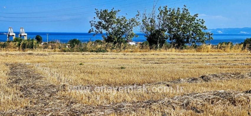 Süleymanpaşa Kumbağ Barbaros Mah. Satılık Tarla - Konut İmar Durumlu - 8.500 m²