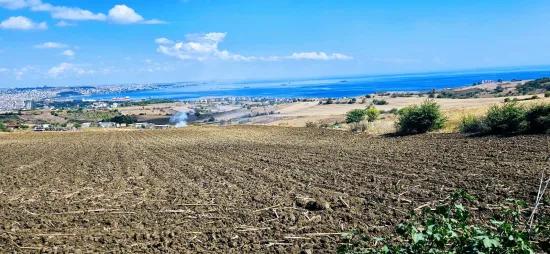 Tekirdağ Barbarostadeniz Doğa Ve Şehir Manzara 405 M2 Villa İmarlı Fırsat Kelepir Arsa