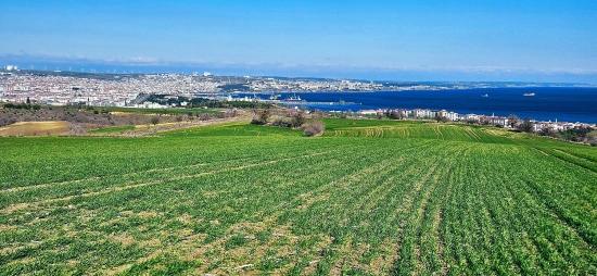 Tekirdağ Barbarosta 75 Adet Villa Projesine Uygun Full Deniz Ve Doğa Manzaralı Arazi