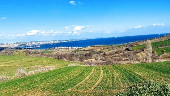 Tekirdağ Barbarosta Full Deniz Ve Doğa Manzaralı 8 Adet Villa Projesine Uygun Arazi