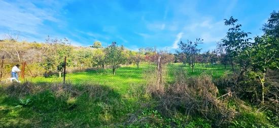 Müstakil Parsel Tapuda Hisse Yok. Hafta Sonları Piknik Mangal Keyfi Ni Yapyapma