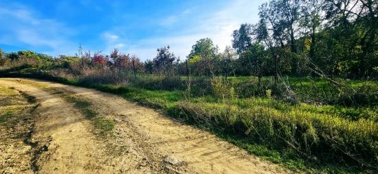 Müstakil Parsel Tapuda Hisse Yok. Hafta Sonları Piknik Mangal Keyfi Ni Yapyapma