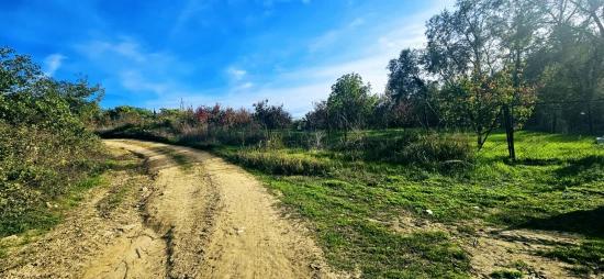Müstakil Parsel Tapuda Hisse Yok. Hafta Sonları Piknik Mangal Keyfi Ni Yapyapma