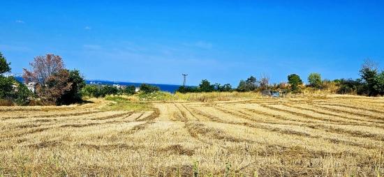 Asyaport Limanına Yakın 615 M2 Kelepir Köşe Arsa