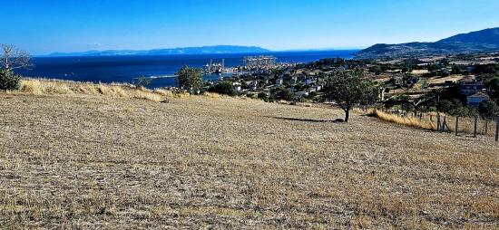 Al-Sat Yapmak İsteyenler İçin Yüksek Kazanç Garantisi Nakit İhtiyacından Dolayı Acil Satıl