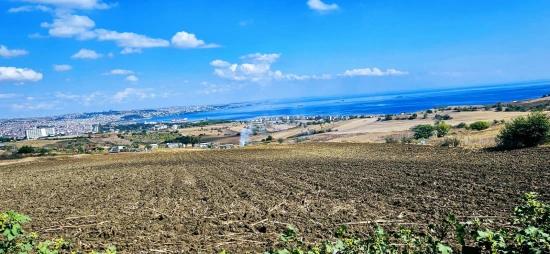 Full Deniz Manzaralı 4 Adet Lüxs Villa Poojesine Uygun Fırsat Arsa