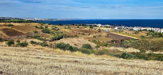 Tekirdağ Topağaç Mahallesinde Full Deniz Manzarlı 1.150 M2 Kelepir Yer