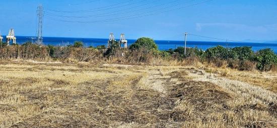 Asyaport Limanına Yakın 8.500 M2 Konut İmarlı Yüksek Kazanç Vaadi Arazi