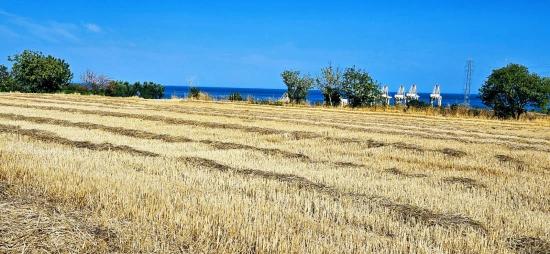 **asyaport Limanına Çok Yakın İhtiyaçtan Acil Satılık Konut İmarlı Arazi**