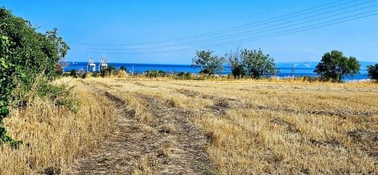 **asyaport Limanına Çok Yakın İhtiyaçtan Acil Satılık Konut İmarlı Arazi**