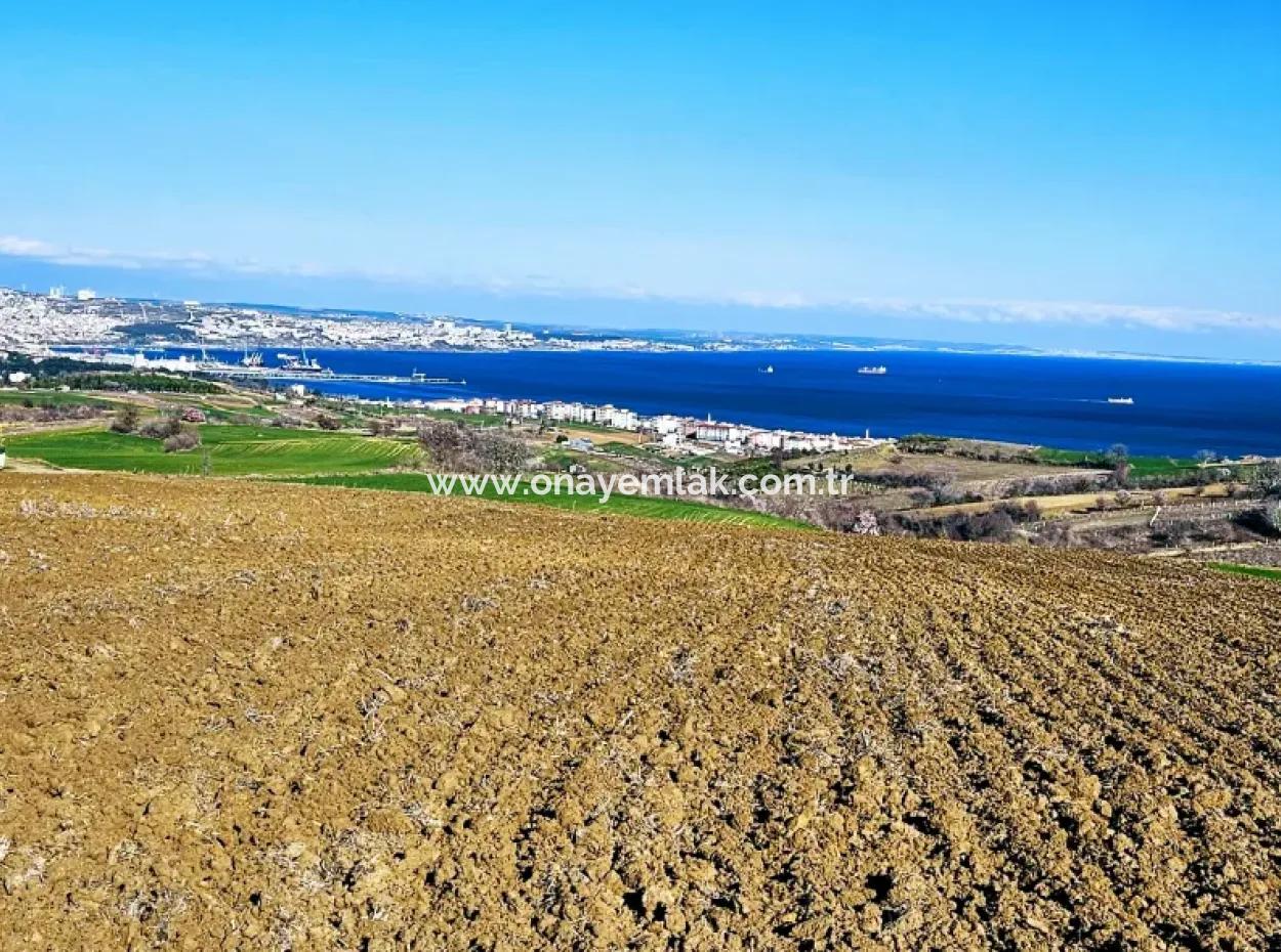 Tekirdağ Barbarosta Lüxs Villa Projeni Yap. Mütahitlere Kat Karşılığı Ver  Yüksek Kazanç Sağla Full Deniz Manzaralı Villa İmarlı Arazi