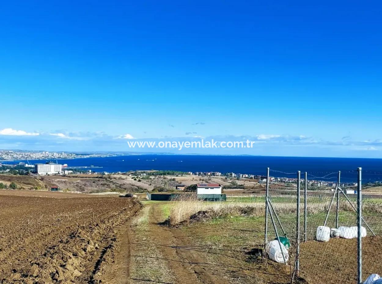 Acil Satılık Lüxs Villa Projesi Uygula Yüksek Kaznç Sağla Yerin Konumu Muhteşem Tamamen Full Deniz Ve Doğa Manzaralı