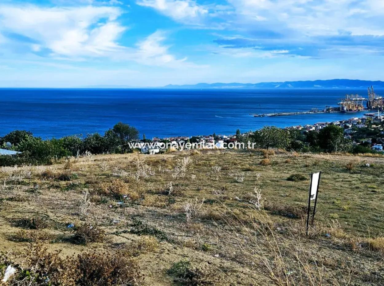 Tekirdağ Barbarosta Acil Satılık Full Deniz Manzaralı Kooparetif Site Yapımına Uygun 3.300 M2 Net Arsa