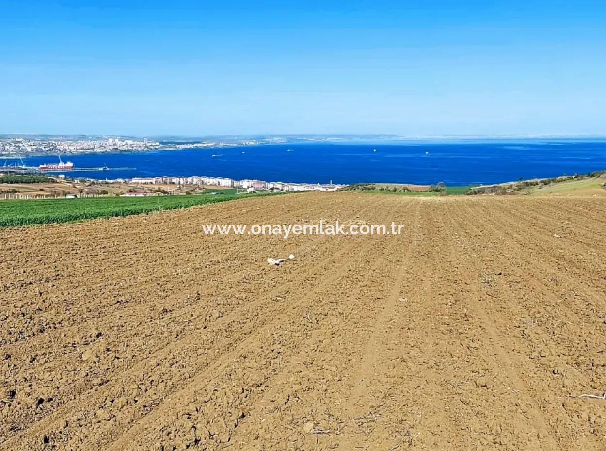 Tekirdağ Barbarosta Lüxs Villa Projeni Yap. Mütahitlere Kat Karşılığı Ver  Yüksek Kazanç Sağla Full Deniz Manzaralı Villa İmarlı Arazi