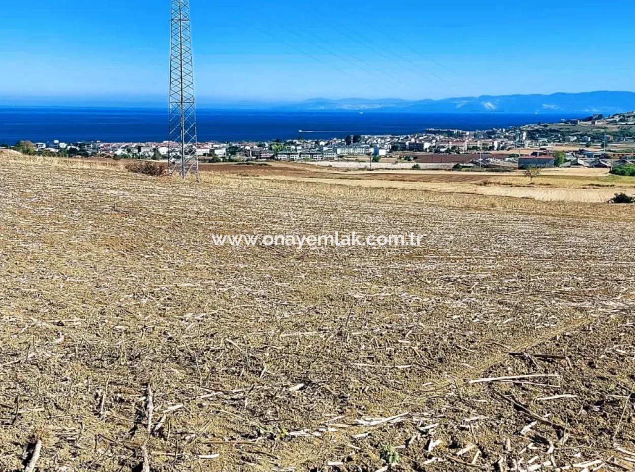 Tekirdağ Barbaros'ta Bulunan 21,900 M2 Arsa, Asyaport Limanı Mevcut İmar Planı İçinde Yer Almaktadır