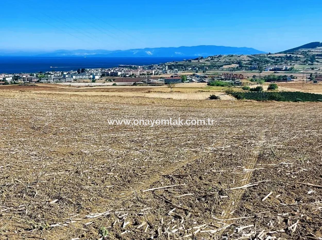 Tekirdağ Barbaros'ta Bulunan 21,900 M2 Arsa, Asyaport Limanı Mevcut İmar Planı İçinde Yer Almaktadır