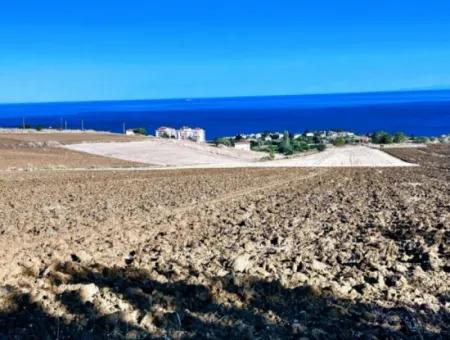 Tekirdağ Barbrosta Acil Satılık Yatırımcısına Yüksek Kazanç Garantisi 44 Dairelik Kooparetif Ve Site Yapımına Uygun Arazi