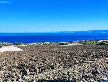 Tekirdağ Barbrosta Acil Satılık Yatırımcısına Yüksek Kazanç Garantisi 44 Dairelik Kooparetif Ve Site Yapımına Uygun Arazi