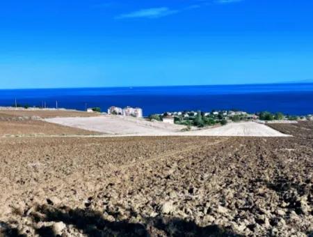 Tekirdağ Barbrosta Acil Satılık Yatırımcısına Yüksek Kazanç Garantisi 44 Dairelik Kooparetif Ve Site Yapımına Uygun Arazi