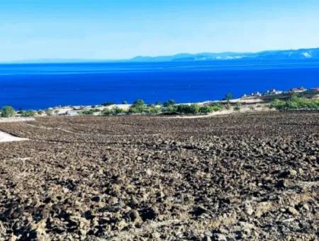 Tekirdağ Barbrosta Acil Satılık Yatırımcısına Yüksek Kazanç Garantisi 44 Dairelik Kooparetif Ve Site Yapımına Uygun Arazi