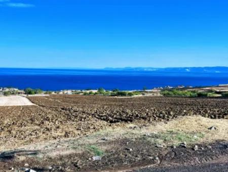 Tekirdağ Barbrosta Acil Satılık Yatırımcısına Yüksek Kazanç Garantisi 44 Dairelik Kooparetif Ve Site Yapımına Uygun Arazi